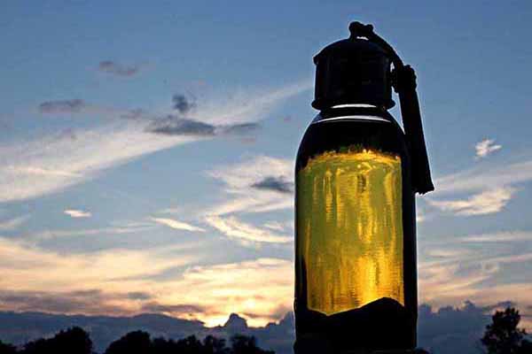 Argan Oil Benefits for the Skin - Why You Should Use It