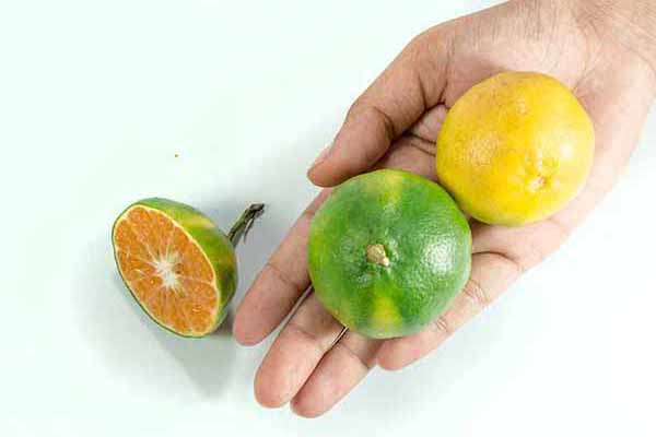 Vitamin C For The Skin: The Benefits & What’s Vitamin C Serum Good For?