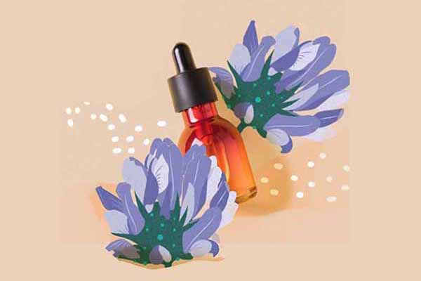 Bakuchiol vs Retinol Review