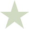 Review star